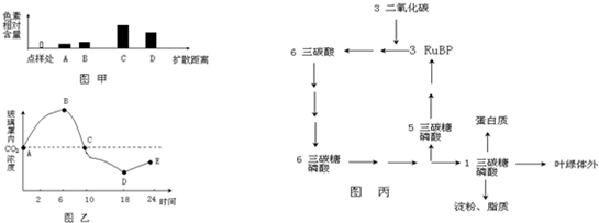 作业帮