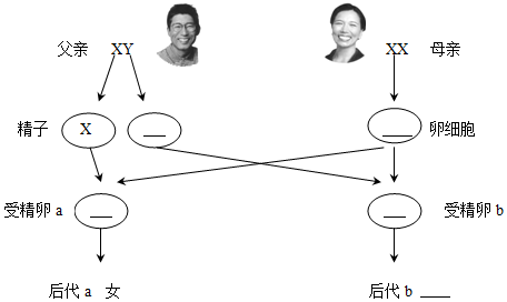 作业帮