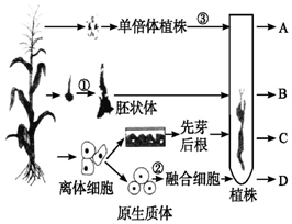 作业帮