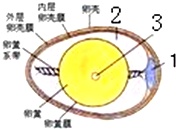 作业帮