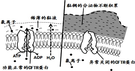 作业帮