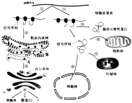 作业帮