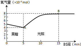 作业帮