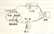 满分5 manfen5.com