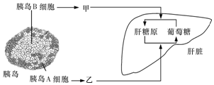 作业帮