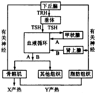 作业帮