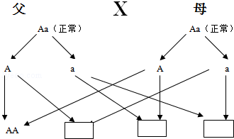 作业帮