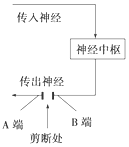 作业帮