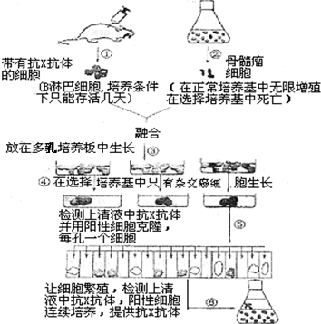 作业帮