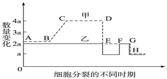 作业帮