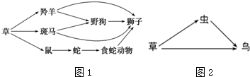 作业帮