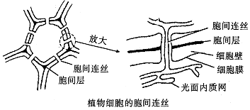 作业帮