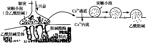 作业帮