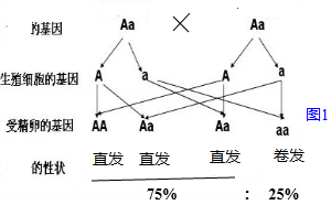 作业帮