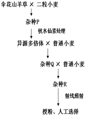 作业帮