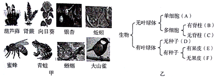 作业帮