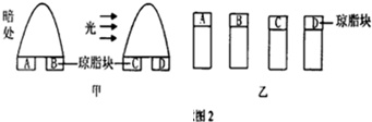 作业帮