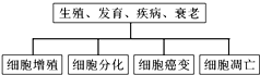 作业帮