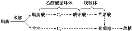 作业帮