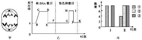 作业帮