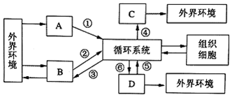 作业帮