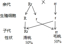 作业帮