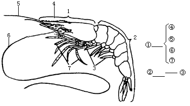 填图并回答问题 下图是对虾外形图,填写各部分结构名称. _作业帮