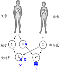 作业帮