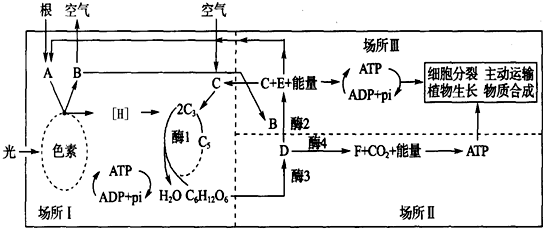 作业帮