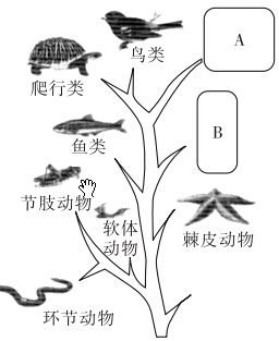 作业帮