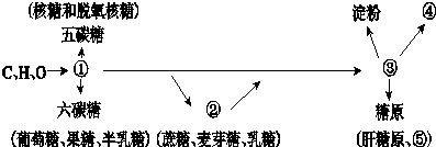 作业帮