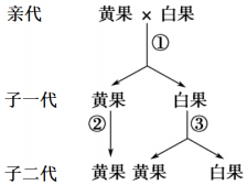 作业帮