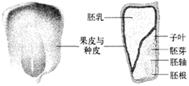 作业帮