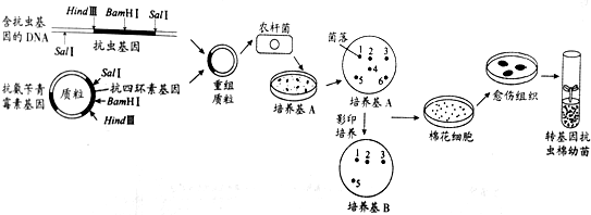 作业帮