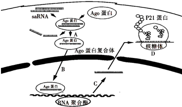 作业帮