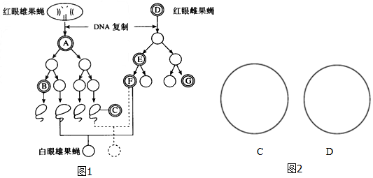 作业帮