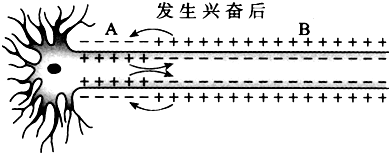 作业帮