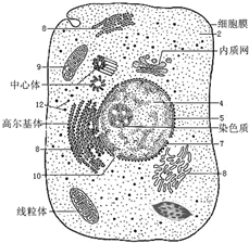 作业帮