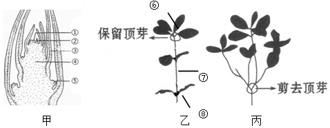 作业帮