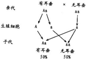 作业帮