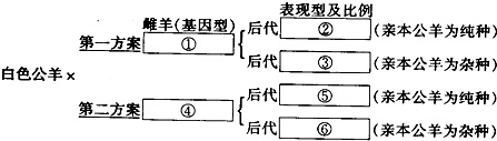 作业帮