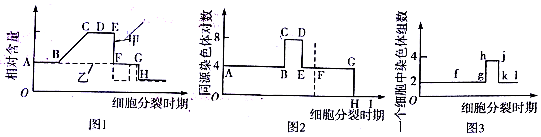 作业帮