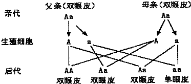 作业帮