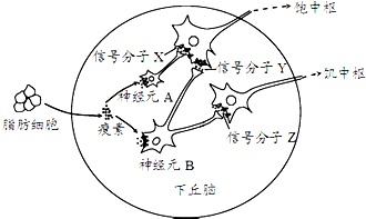 作业帮