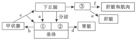 作业帮