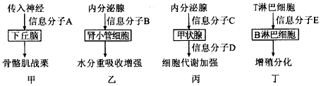 作业帮