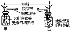 作业帮