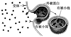 作业帮