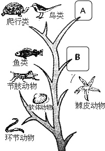 作业帮