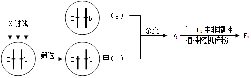 作业帮